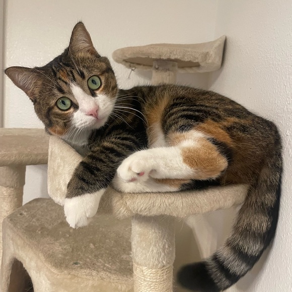 Meet your Posher, Mildred - Picture 1 of 1